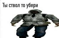 736x481
