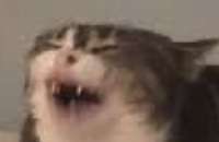 274x179