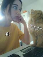 960x1280