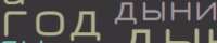 493x100