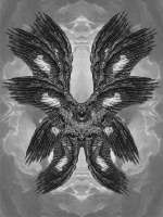 900x1200