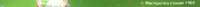 925x33