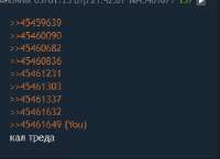 335x244