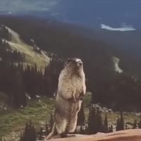 360x360