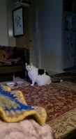 350x640