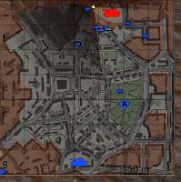336x337