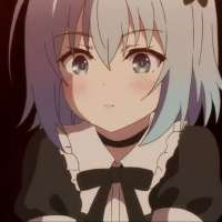 736x736