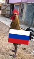 368x640