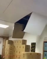 360x450