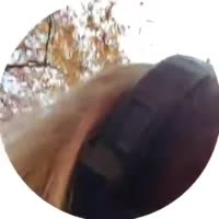 720x720