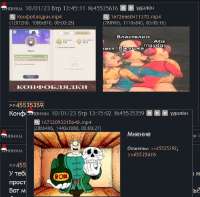506x499