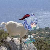 1080x1077