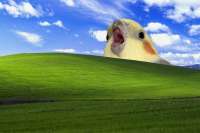 1280x853
