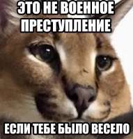 640x668