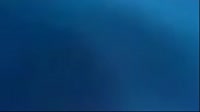 1280x720