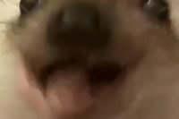 480x320