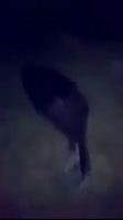 202x360