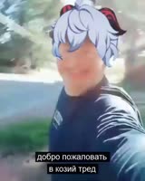 480x600