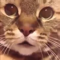 360x360