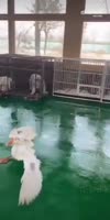 360x720