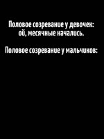 460x610