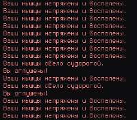 292x257