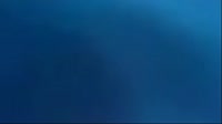 1280x720
