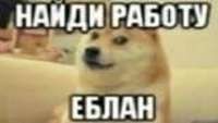 200x113