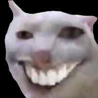 500x500