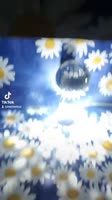 360x640
