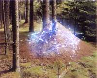 500x403