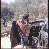 360x360