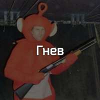 811x811