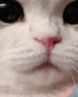 640x800