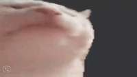 498x280