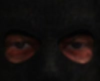390x318