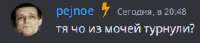 246x53