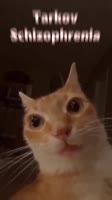 406x720