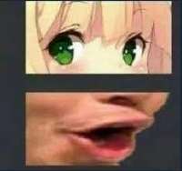 202x190