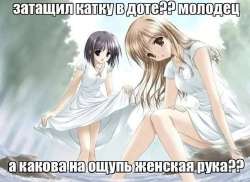 736x536
