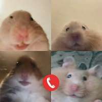 1000x1000