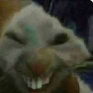 187x187