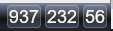 113x31