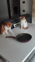 360x642