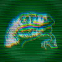 225x225