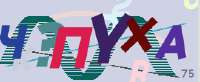 270x112