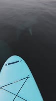608x1080