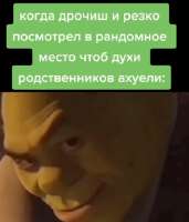 393x459