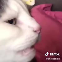 640x640