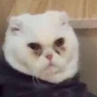 900x900